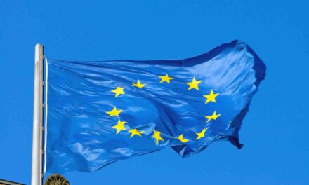 Épisode 3 : Règlement européen sur les services numériques : une proposition nécessaire mais insuffisante