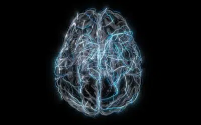 Neurotechnologies, cyborgs et poésie du droit