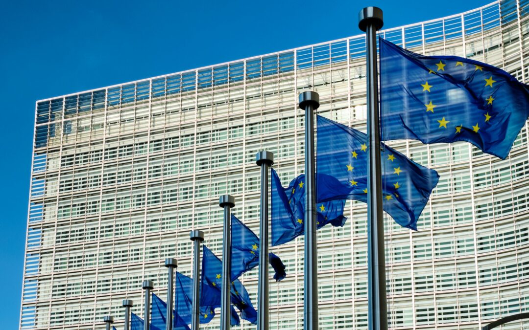 L’Institut des droits fondamentaux du numérique (iDFrights) se félicite de l’initiative prise par le Parlement européen de réviser la Charte des droits fondamentaux