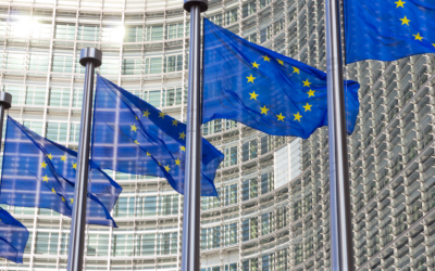 Présentation de la position de iDFRights en réponse à la consultation publique de la Commission européenne sur les lignes directrices de l’IA Act